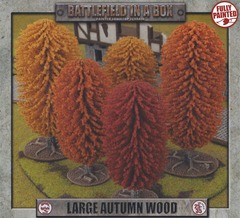 BB552 - Large Autumn Wood